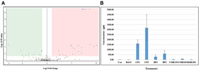 Gut Microbiota, Blood Metabolites, and Spleen Immunity in Broiler Chickens Fed Berry Pomaces and Phenolic-Enriched Extractives